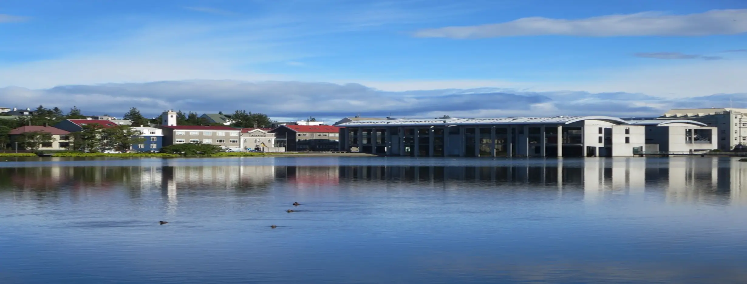 Image for Tjornin Lake